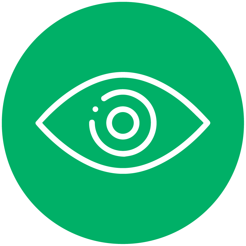 Visão